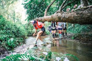 BIB: 
                            <button type="button" onclick="openModal(25477535)" class="btn btn-primary btn-sm float-right btn-popup" data-toggle="modal" data-target=".modal-high-quality">
                        <i class="fas fa-shopping-cart"></i> Add to Cart
                    </button>
                                            <button type="button" onclick="isThisMe(25477535, true)" class="btn btn-success btn-sm float-right btn-popup btn-isme hidden" data-toggle="tooltip" data-placement="bottom" title="นี่คือรูปของคุณใช่ไหม คลิกที่นี่เพื่อเอาเข้าอัลบั้ม">
                        <i class="fas fa-plus"></i> Add to album
                    </button>
                    <button type="button" onclick="isThisMe(25477535, false)" class="btn btn-warning btn-sm float-right btn-popup btn-isnotme hidden">
                        <i class="fas fa-ban"></i> Remove from album
                    </button>